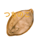 溢れるハムスター（個別スタンプ：14）