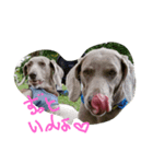 weim（個別スタンプ：1）