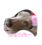 weim（個別スタンプ：3）