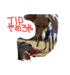 weim（個別スタンプ：5）