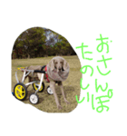 weim（個別スタンプ：6）