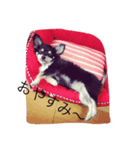 パピコ2（個別スタンプ：6）