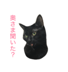 ろびえま相槌アンド挨拶（個別スタンプ：21）