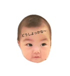 kiko sticker.（個別スタンプ：2）