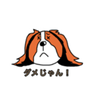 コイケル☆エルモのスタンプ（個別スタンプ：8）