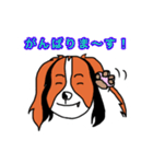 コイケル☆エルモのスタンプ（個別スタンプ：17）