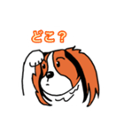 コイケル☆エルモのスタンプ（個別スタンプ：19）
