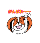コイケル☆エルモのスタンプ（個別スタンプ：24）