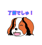 コイケル☆エルモのスタンプ（個別スタンプ：35）
