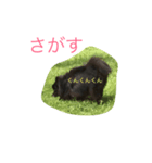 黒ポメちゃん（個別スタンプ：2）