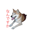 ちょろ♡（個別スタンプ：7）