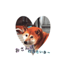 ちょろ♡（個別スタンプ：14）