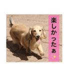 ビートケンネルの仲間達の日常（個別スタンプ：18）