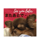ビートケンネルの仲間達の日常（個別スタンプ：19）