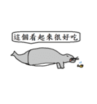 Prettiest Animals #1 #Caption（個別スタンプ：27）