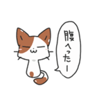 たまに変な顔したりポーズしたりする猫（個別スタンプ：21）