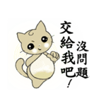 Big wheat cat family III（個別スタンプ：10）