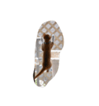 ちくわ♂（個別スタンプ：8）