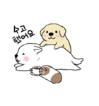 可愛く動く犬ときどきモルモット【韓国語】（個別スタンプ：20）