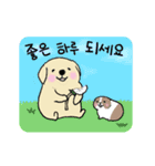 可愛く動く犬ときどきモルモット【韓国語】（個別スタンプ：23）