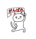白猫ビリー（個別スタンプ：29）