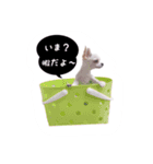 MIXのミント1（個別スタンプ：10）