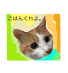 にゃおちん  4（個別スタンプ：4）