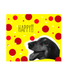 マイペースだよ小太郎くん。（個別スタンプ：1）