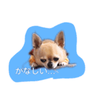 ジュニルニ（個別スタンプ：3）
