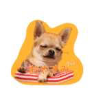 ジュニルニ（個別スタンプ：9）