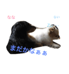 三兄弟！なのら！（個別スタンプ：2）