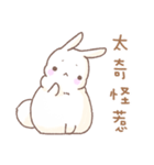 Q！BUNNY（個別スタンプ：2）