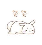 Q！BUNNY（個別スタンプ：3）