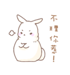 Q！BUNNY（個別スタンプ：8）