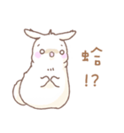 Q！BUNNY（個別スタンプ：10）