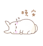 Q！BUNNY（個別スタンプ：15）