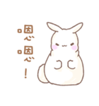 Q！BUNNY（個別スタンプ：23）