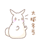 Q！BUNNY（個別スタンプ：30）