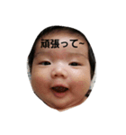 河野さんち（個別スタンプ：3）