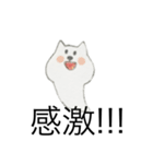 猫クマおばけ（個別スタンプ：4）