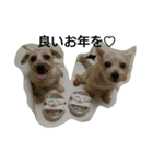 Terrier Brothers（個別スタンプ：14）