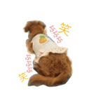 超癒し犬 ダックス あいすちゃん（個別スタンプ：24）