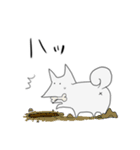 シンプルに白いいぬ（個別スタンプ：24）