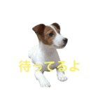 Leonの日常（個別スタンプ：1）