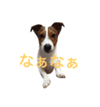 Leonの日常（個別スタンプ：9）