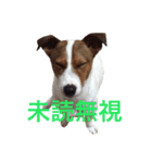 Leonの日常（個別スタンプ：14）