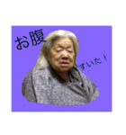 トヨちゃんと猫ファミリー（個別スタンプ：16）