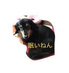 一言タルさん（個別スタンプ：8）