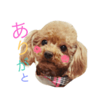 まこふぁみりー（個別スタンプ：5）