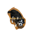 くうとめいは友達（個別スタンプ：6）